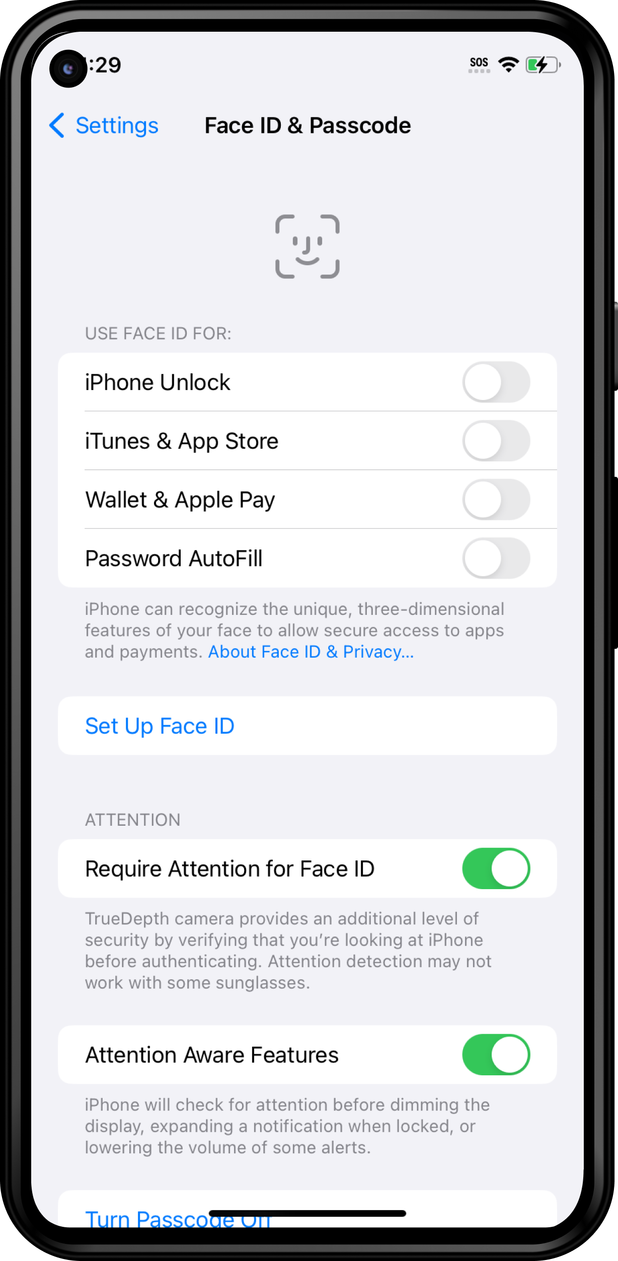 🍏 FR - Face ID &amp ; Passcode Menu (1).png