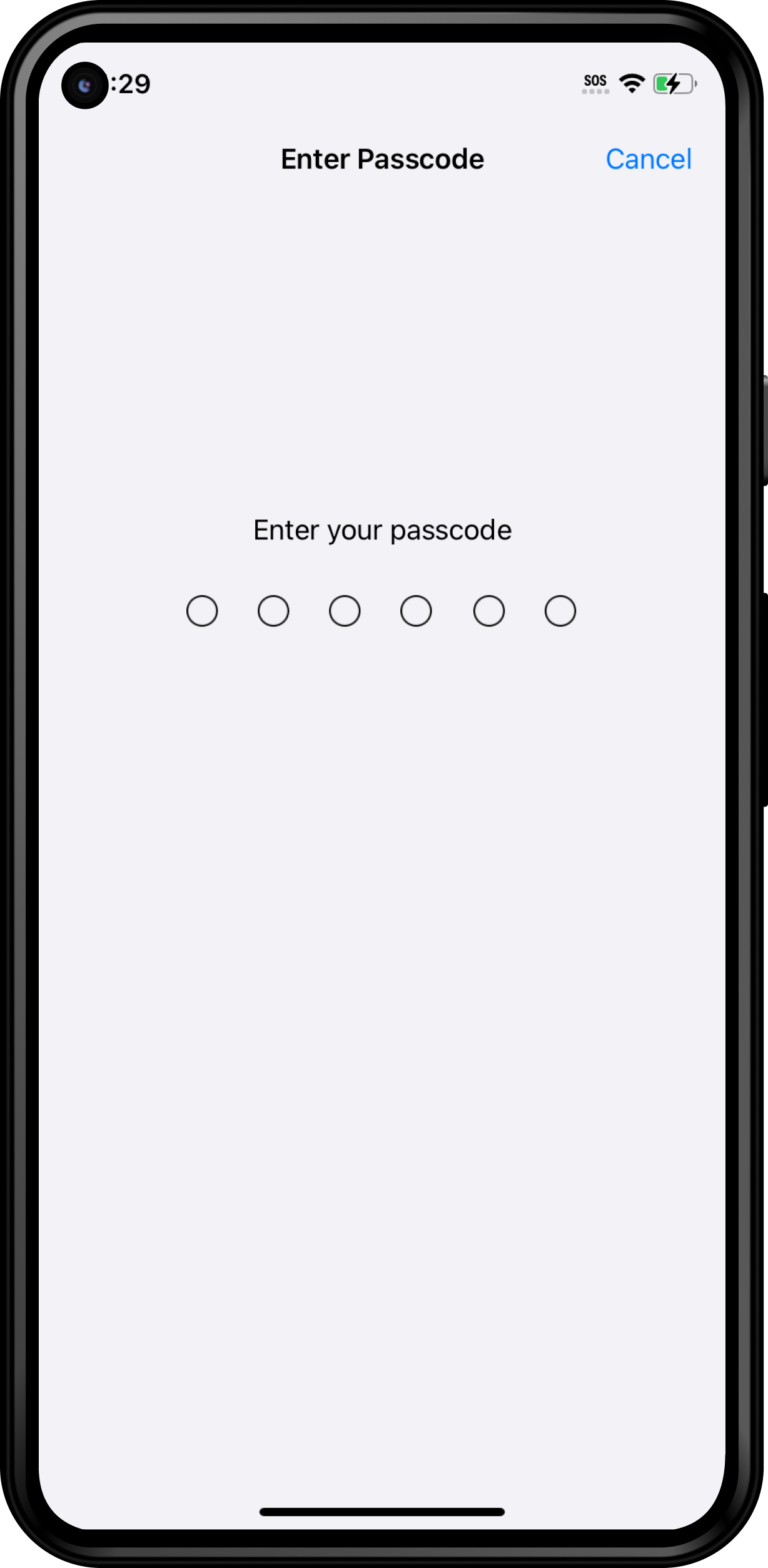 🍏 FR - Code de verrouillage.png