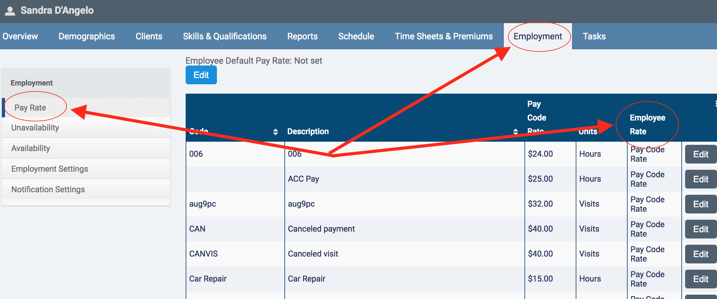 how-do-i-set-edit-clear-a-custom-pay-code-rate-for-a-particular