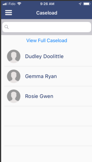 Caseload_list.png