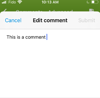 edit_comment_iOS.png