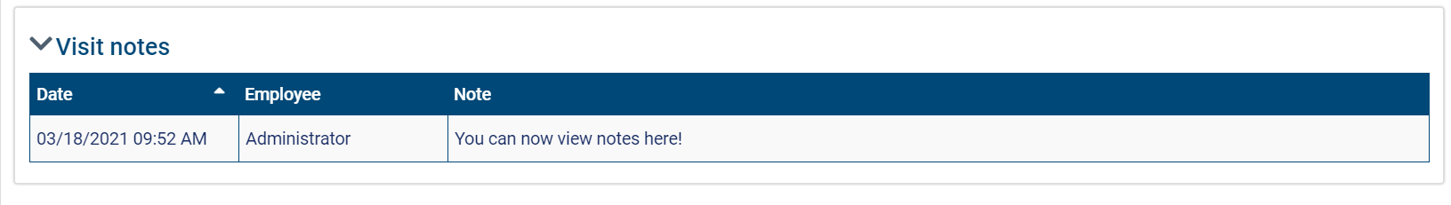 visit_notes_section_EVV.png